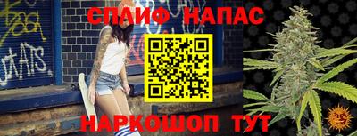 прущие грибы Ипатово