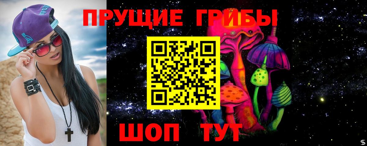 Псилоцибиновые грибы Psilocybe  Вход с VPN  Дальнегорск 